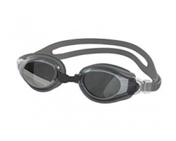 swimsportz_champion_goggles_-_silver